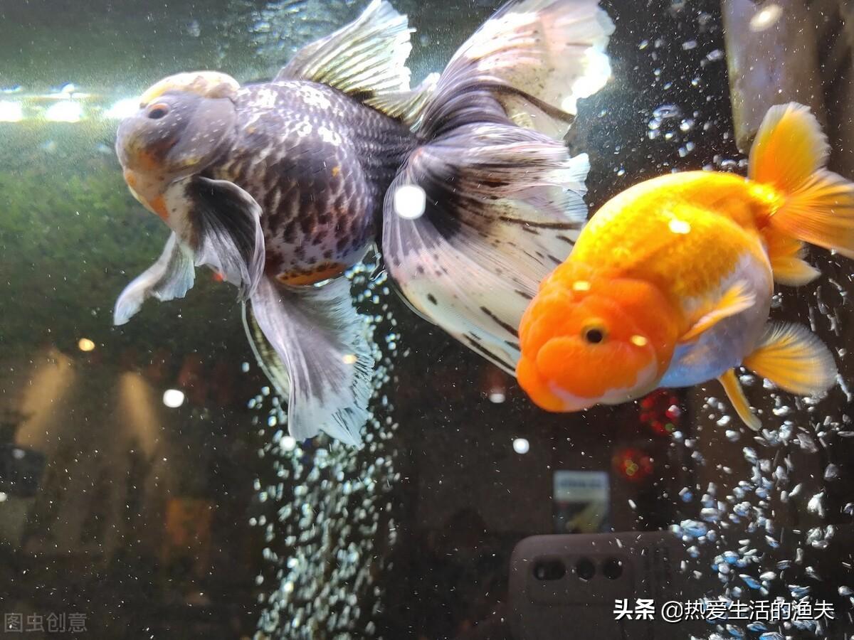 医院感染管理办法培训，实践、挑战与未来展望的小结及总结