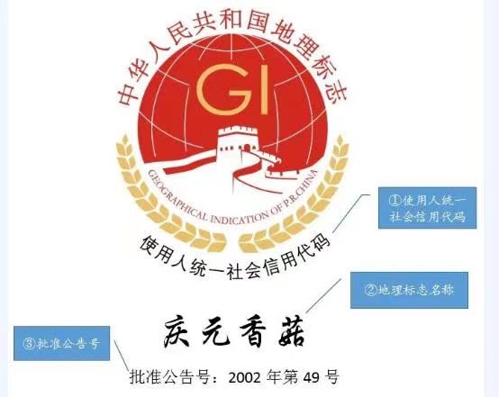 医院Logo释义，传递信任与关怀的视觉语言