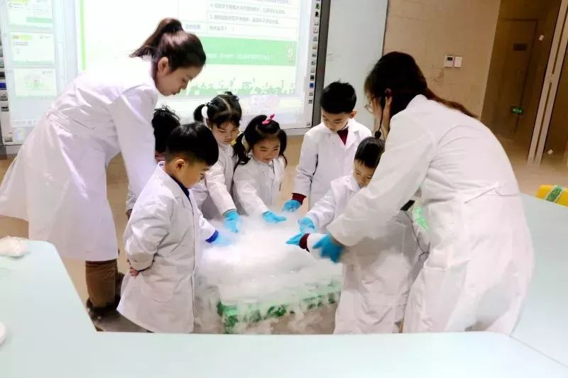手术室里的动漫奇遇，一场视觉与知识的盛宴