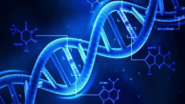 手术游戏17yy，虚拟与现实的边界探索
