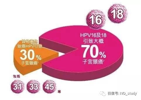 探索治疗HPV的最新药物进展，寻找最好的答案