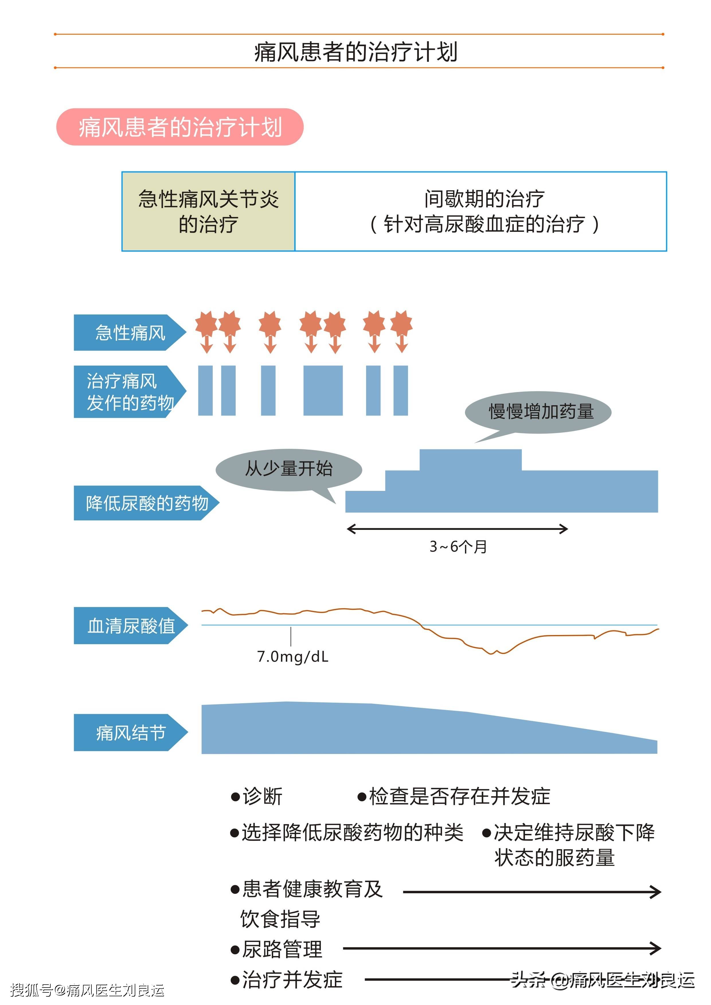 泰国治疗痛风的神奇之旅，揭秘传统与现代医学的完美融合