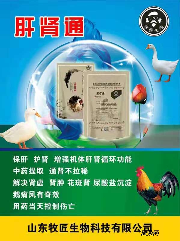 探索痛风治疗新篇章，揭秘中成药的特效之路