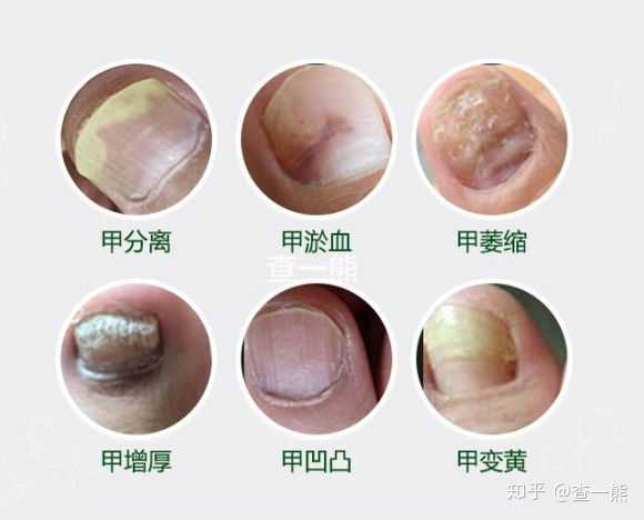 新闻资讯 第322页