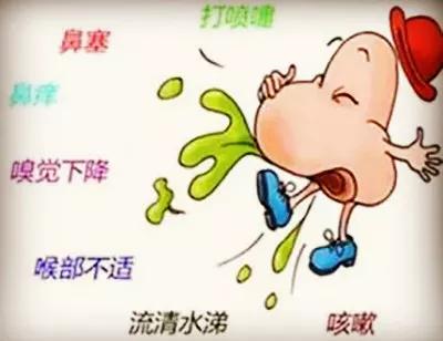 探索治疗过敏性鼻炎的黄金法则，最佳方法与最有效药物指南