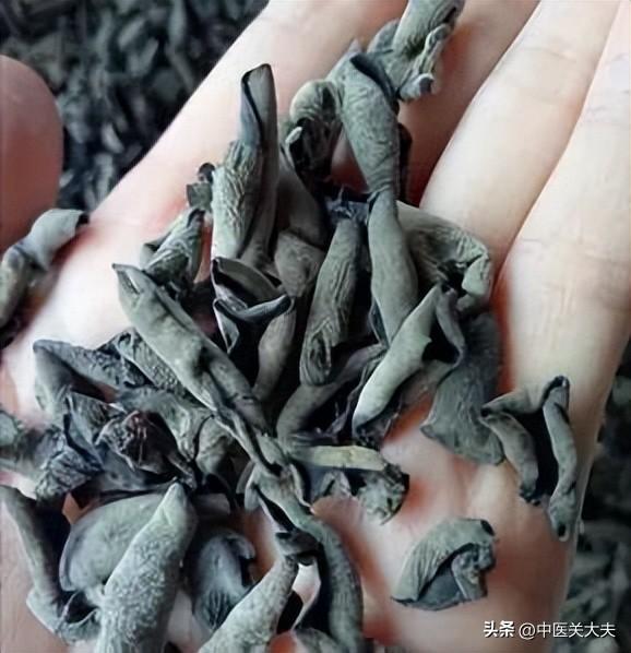 支气管炎咳嗽的特效药与综合治疗方法