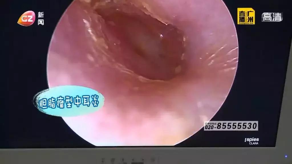加盟咨询 第334页