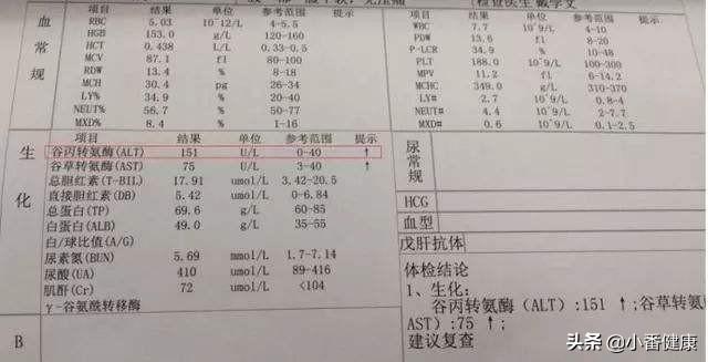 新闻资讯 第316页