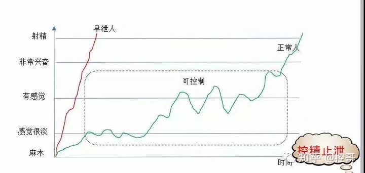 探索中药治疗早泄的奥秘，传统智慧与现代健康的融合