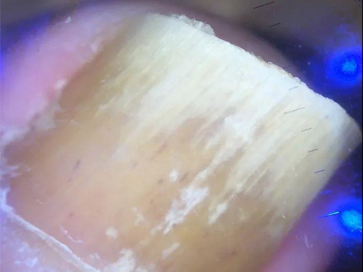 加盟咨询 第331页
