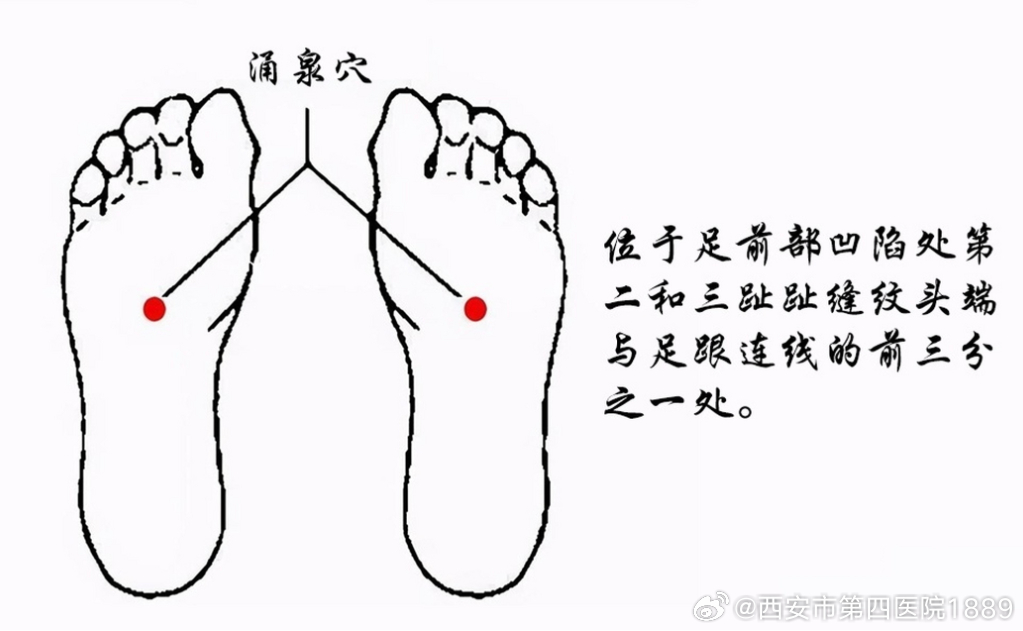 店面展示 第333页