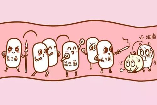 霉菌阴道炎的全面解析与治疗指南
