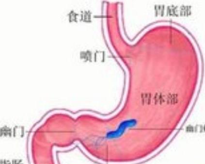 萎缩性胃炎的全面治疗过程，从诊断到康复的旅程