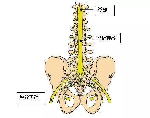 颈椎压迫神经，探索最快的治疗途径
