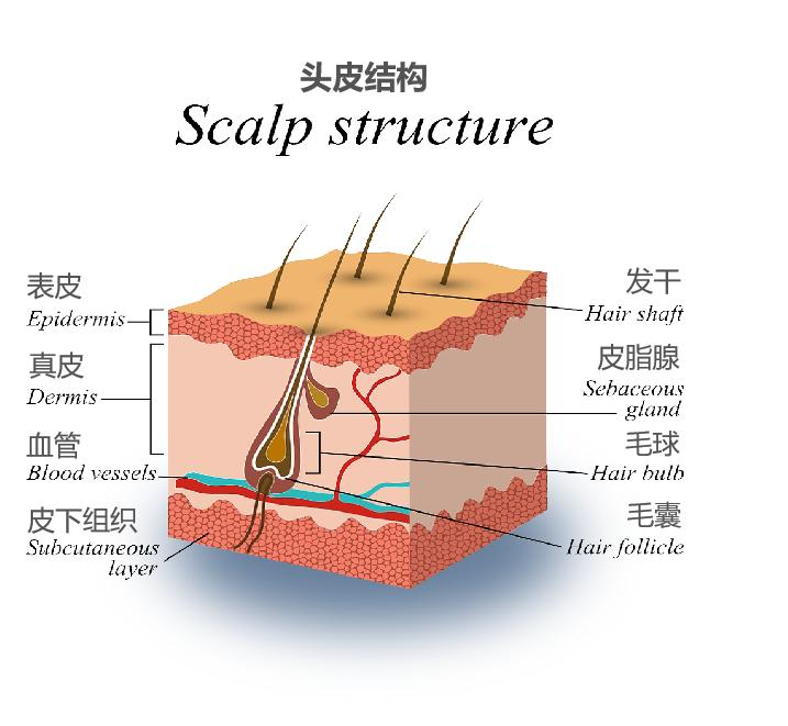 土方法治疗痔疮，古老智慧与现代生活的和谐共融