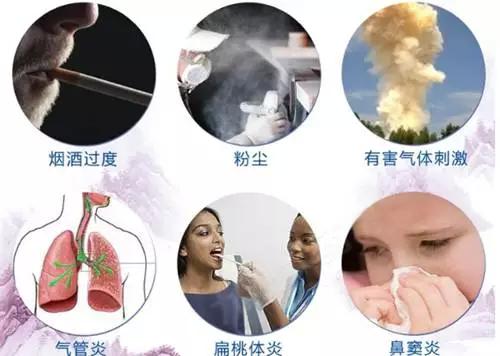 最佳中药治疗咽炎的探索与解析