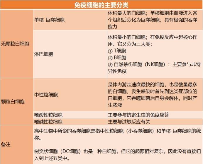 纳米技术，癌症治疗的新曙光