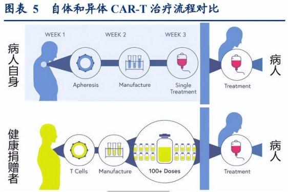 2024年最新治疗癌症技术，重塑生命与希望的未来