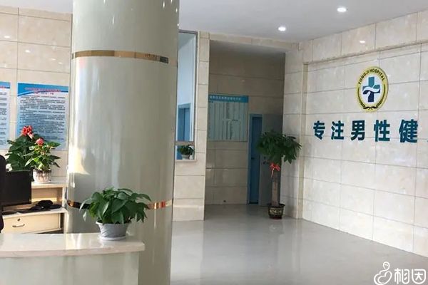 医院就诊是否需要身份证？全面解析与注意事项