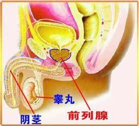 探索私立男科医院，前列腺炎的物理治疗新路径