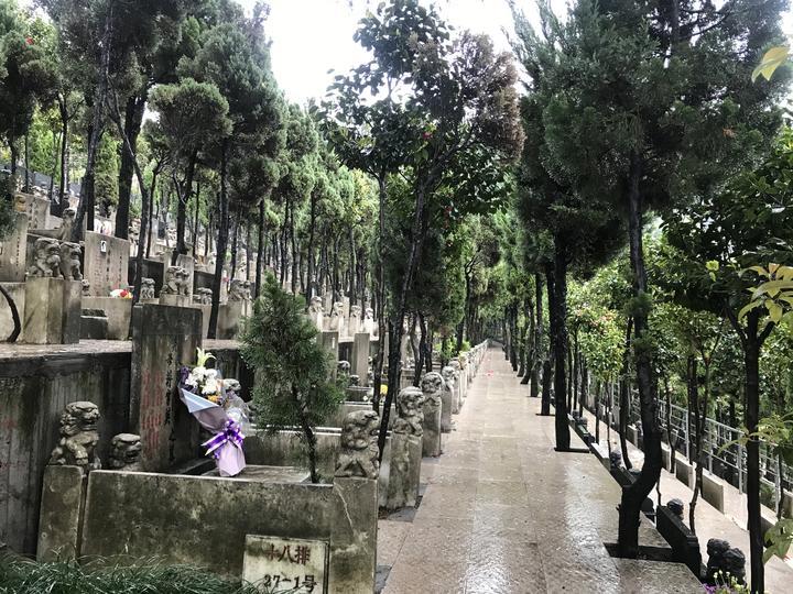 杭州医院挂号网上预约平台，便捷就医的新时代