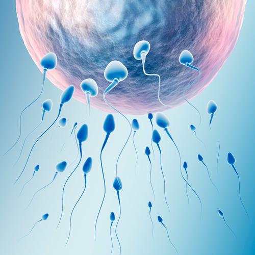 专业男科医院挂号，守护男性健康的智慧选择