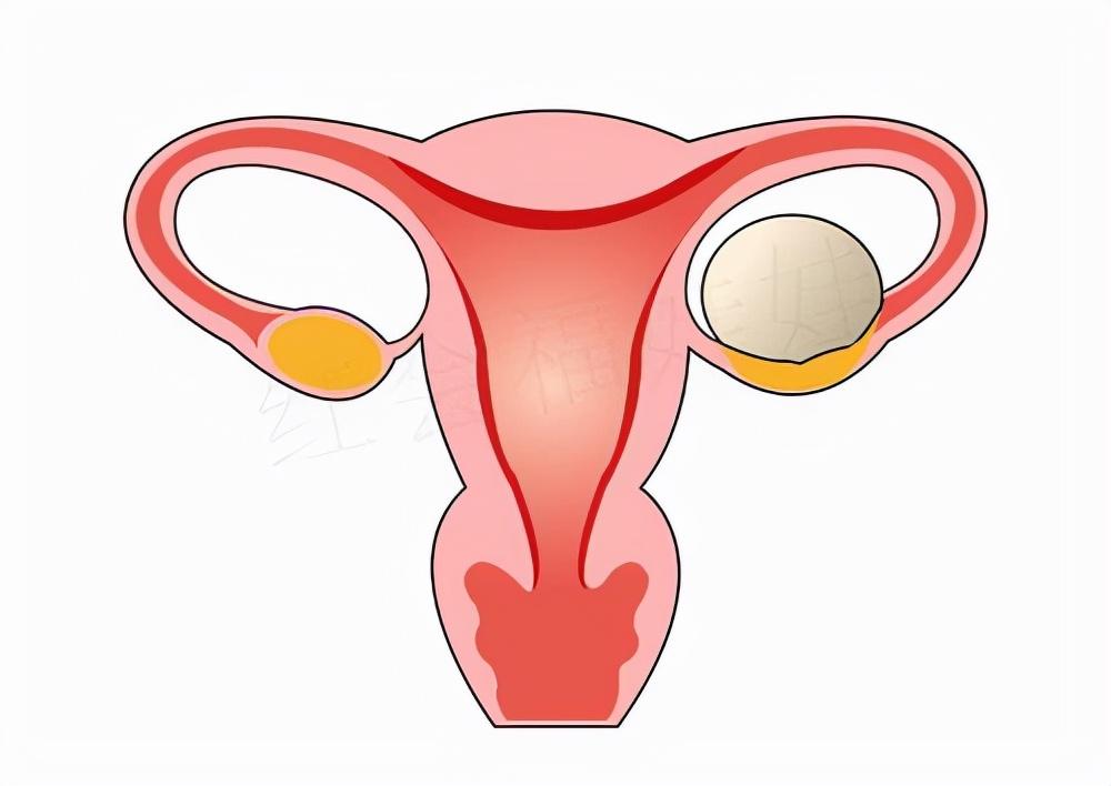 人民医院妇科上午几点上班？——了解就诊时间，轻松应对女性健康需求