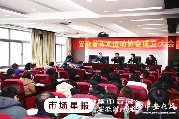 合肥人民妇产医院官网，守护女性健康，迎接生命新篇章