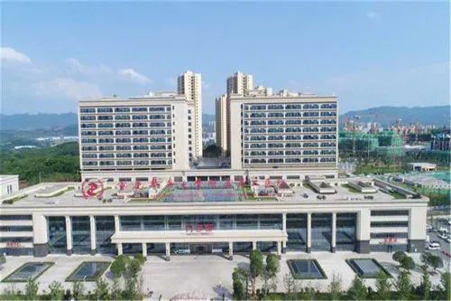 临安中医院门诊时间全解析，为您的健康护航