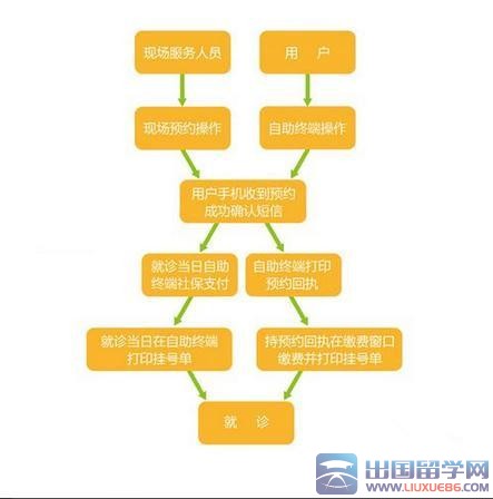 医院周末上班时间调整，平衡服务与休息的智慧