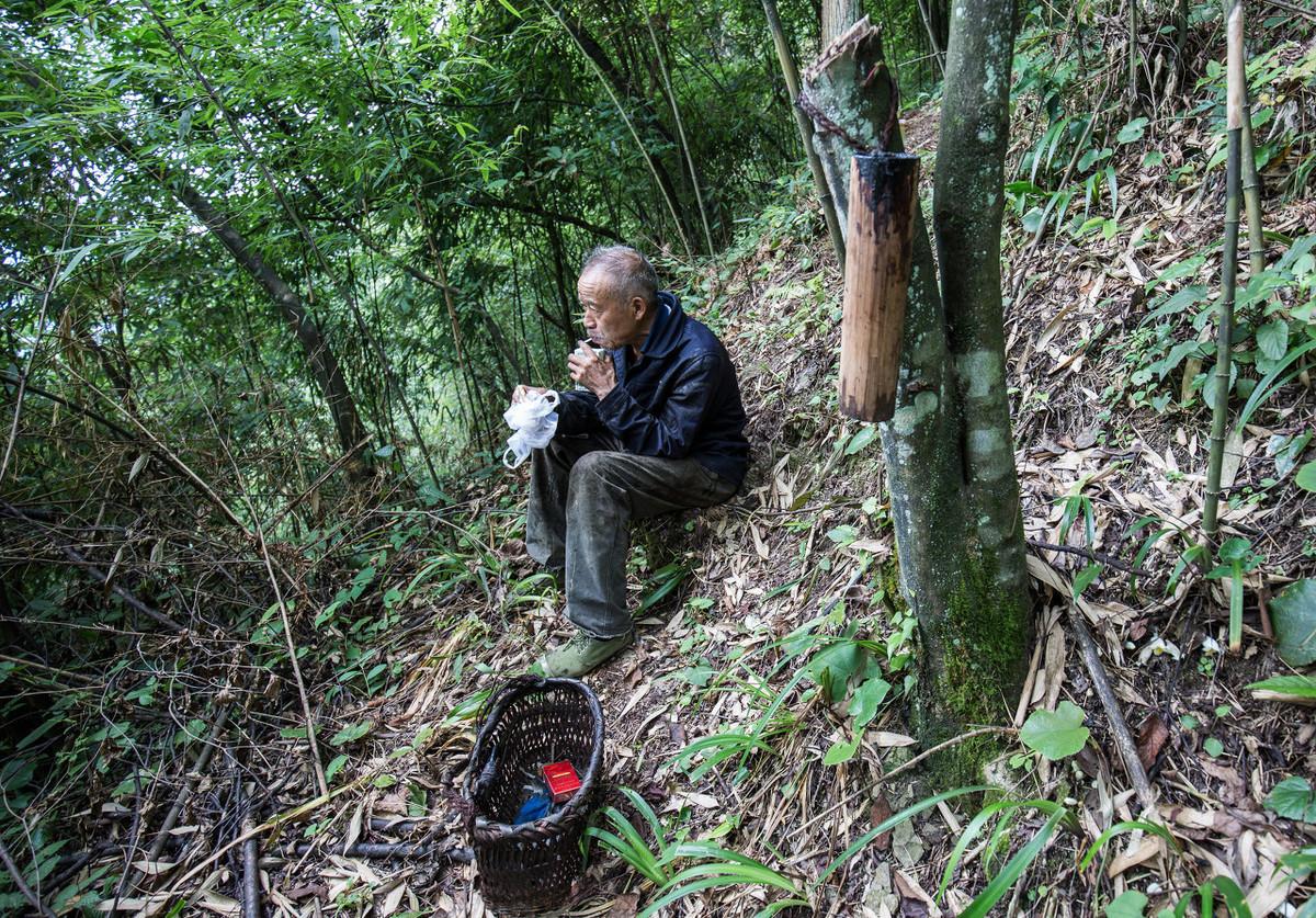 揭秘三甲医院中午休息时间，真相与误解