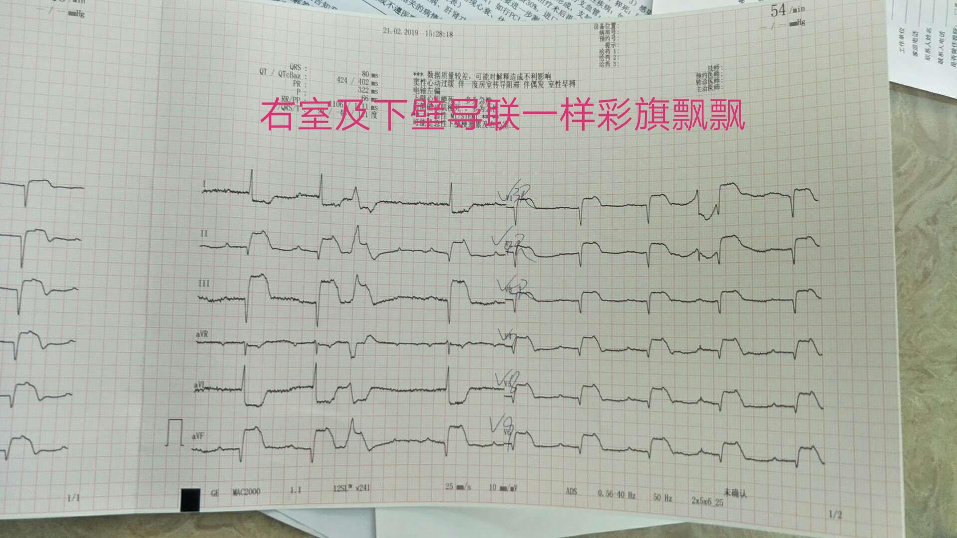 第1338页