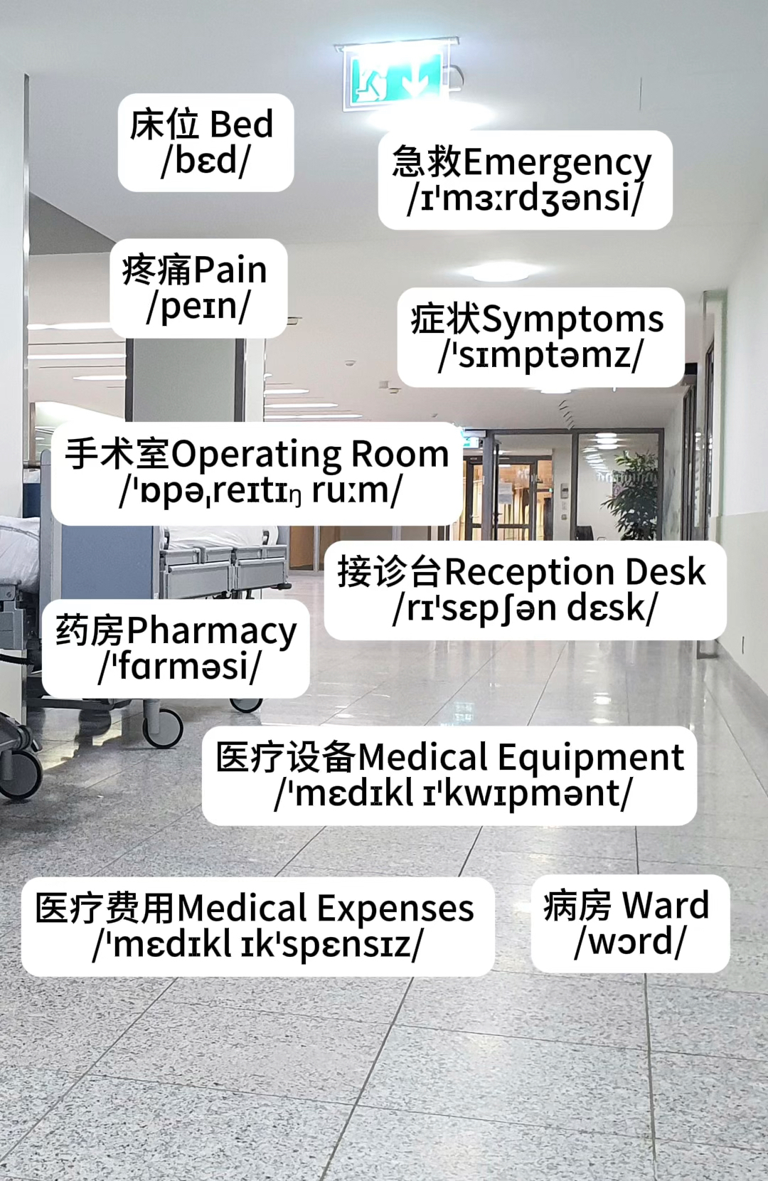 医院英文单词的发音与学习指南