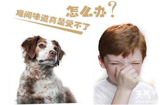 宠物医院，守护毛孩健康的温馨港湾