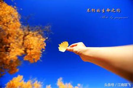 医院，生命之舟的港湾——英文解析与文化探讨