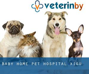 A Pet Hospital in My City: A Haven for Furry Friends