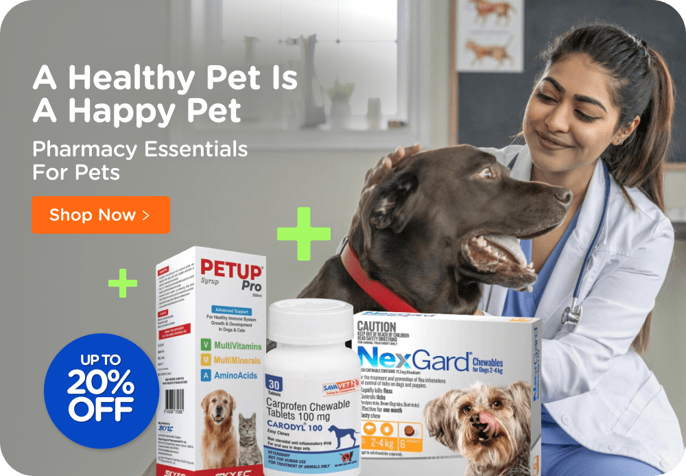 My Citys Heartbeat for Pets: An Exploration of Our Local Pet Hospital