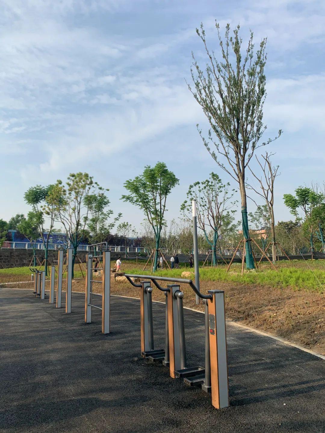 在我的城市里，有一家温暖的宠物医院，爱与关怀的港湾