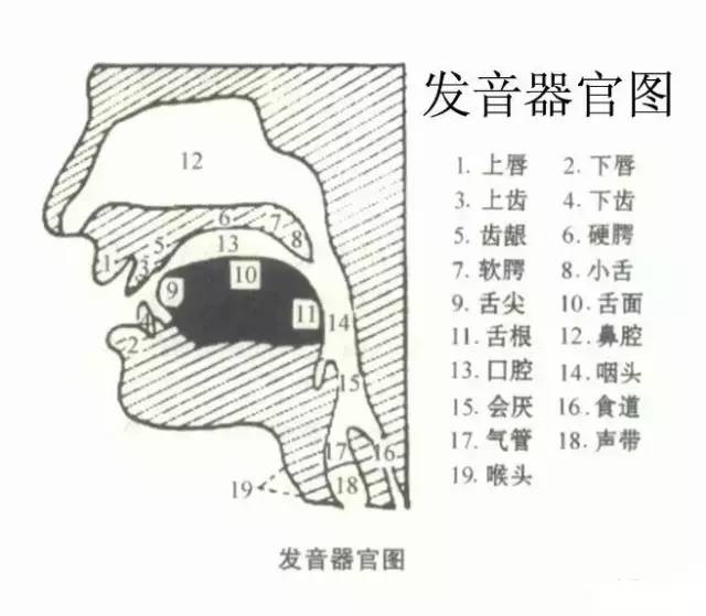 医院英语发音的准确性与重要性