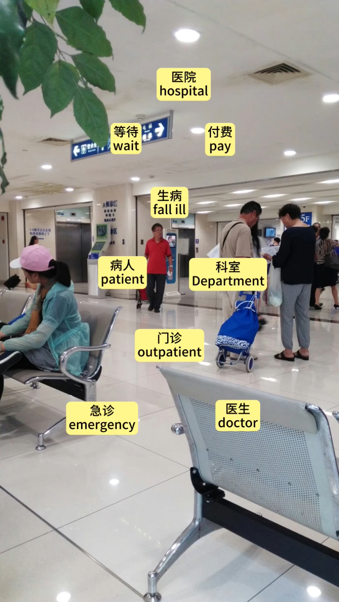 医院英文单词速记技巧，从Hospital到Healthcare Facility的快速记忆法