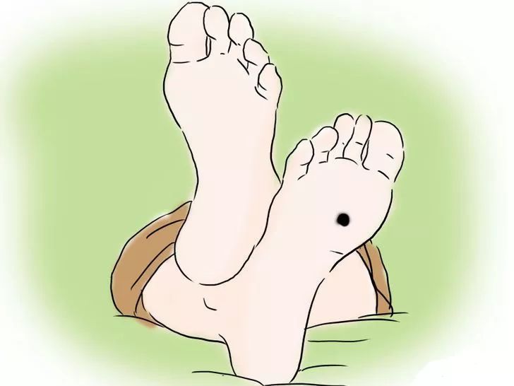 第1273页