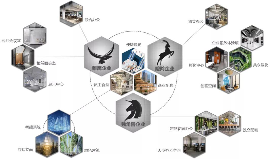 深圳市龙华区医院，守护健康的新时代医疗高地