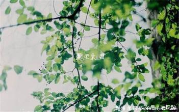 医院科会，夏日里的温暖汇聚