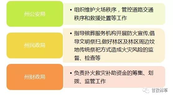 医院现场处置方案，构建高效、安全的应急响应体系