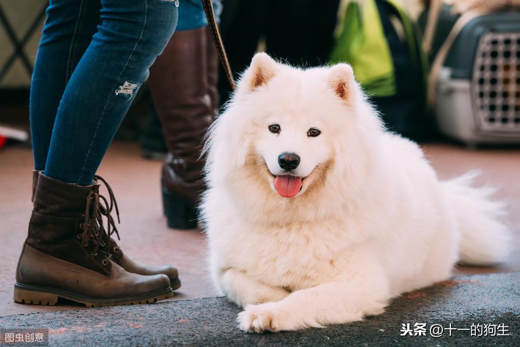 牙科医院图片实拍，探索现代口腔健康护理的细节之美