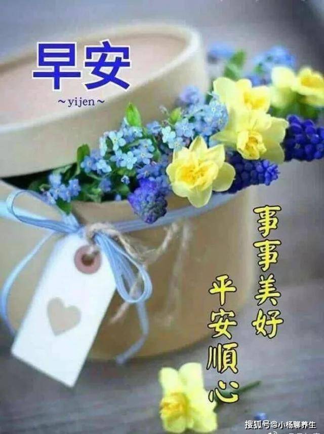 小医院里的温馨瞬间，卡通图片中的治愈力量