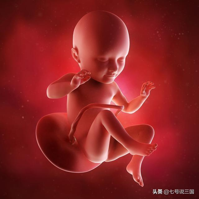 探秘四甲五甲医院，医疗体系中的特殊存在
