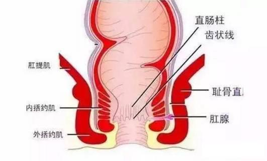 最好肛肠医院是哪家？——深度解析与选择指南