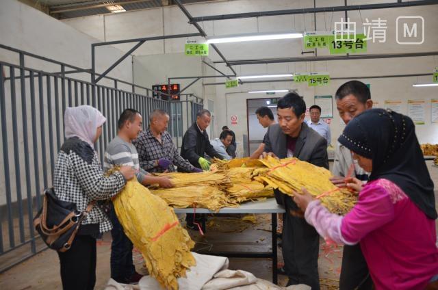 医院等级划分标准图，构建医疗资源均衡的基石