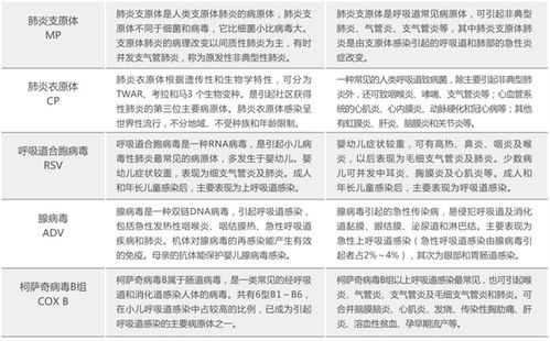 医院分类等级划分，甲乙之别，服务与质量的双重考量
